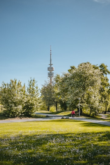 gray concrete tower surrounded by green trees