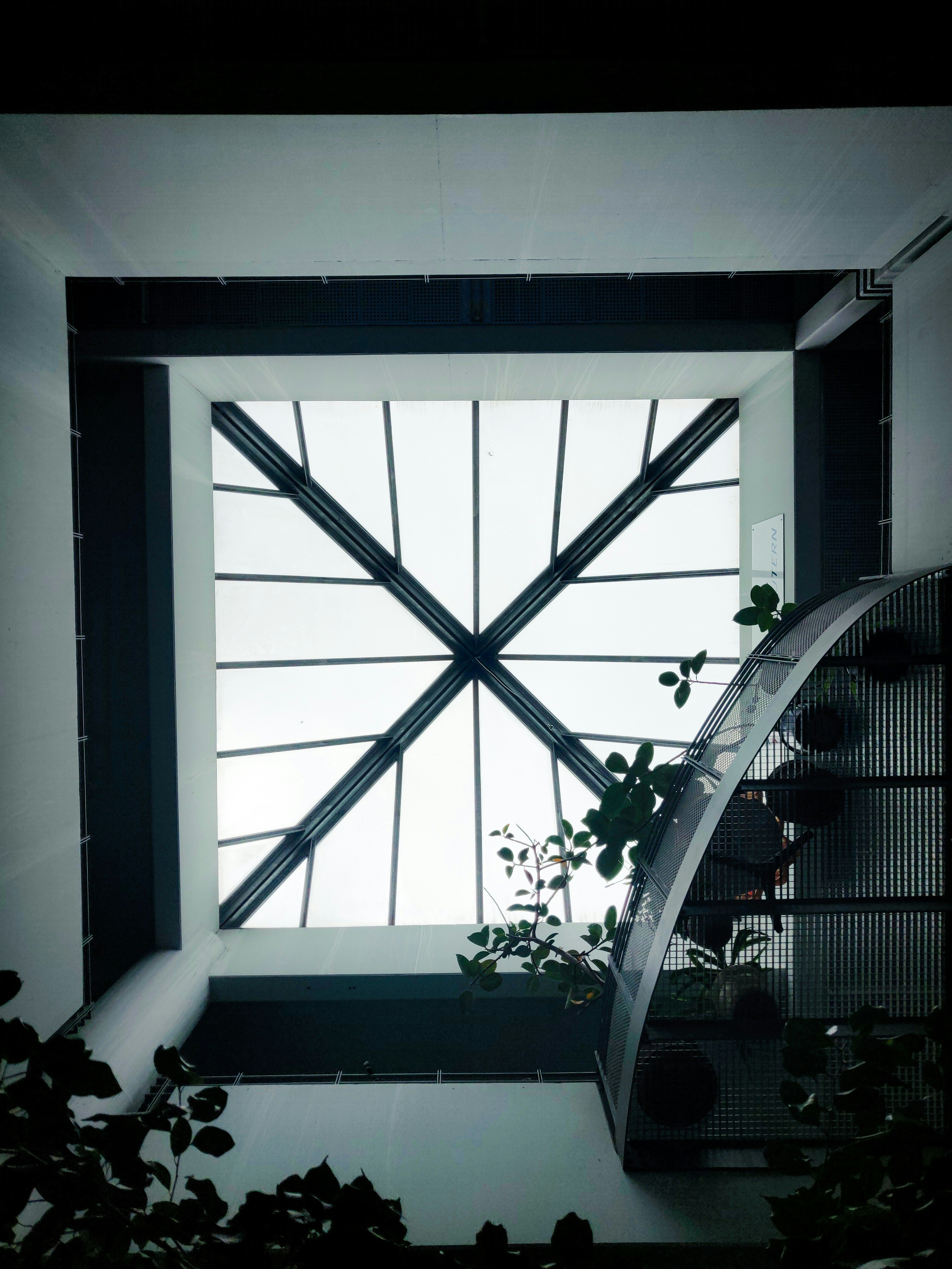 Photo by banibratosinha98