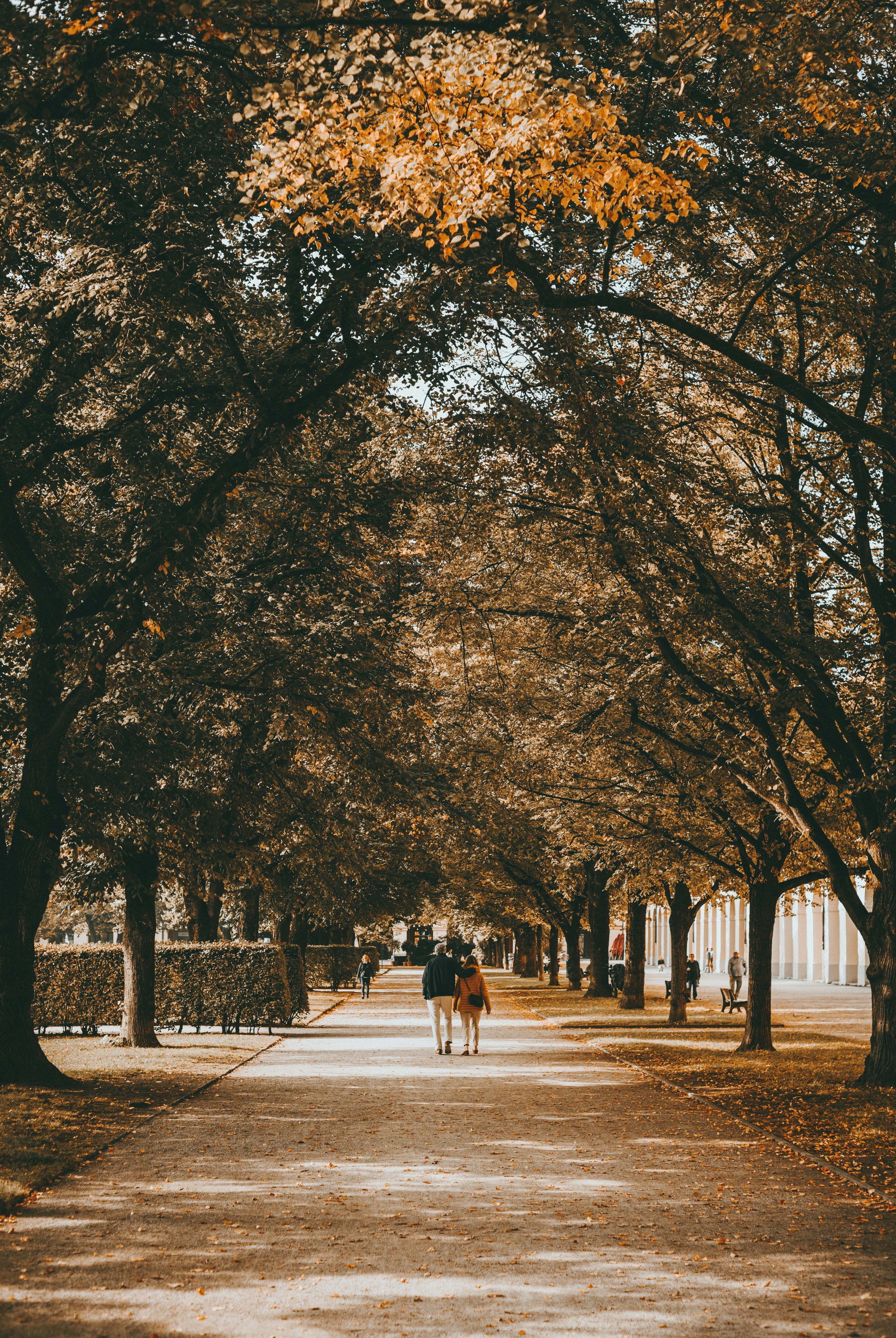 Munich + Autumn II – instagram.com/hrrbhn
