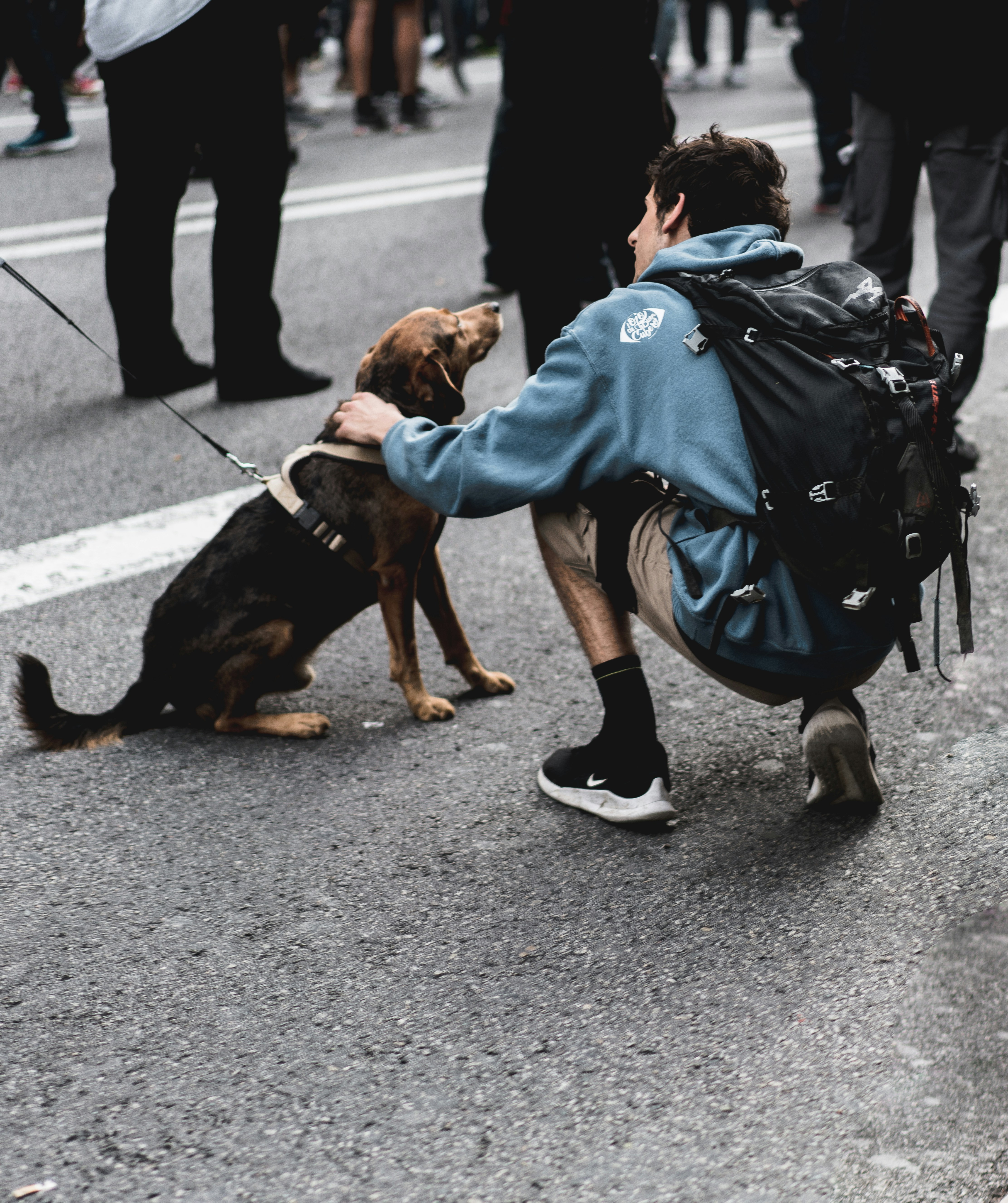 A service dog guiding its handler away from a stressful situation