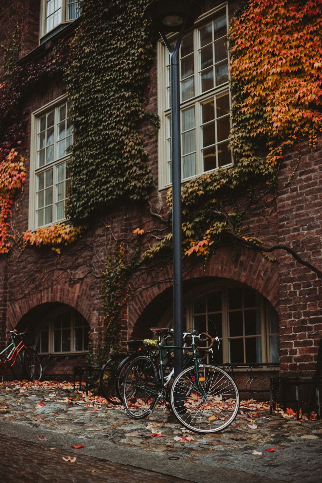 black bike parked beside lamp post