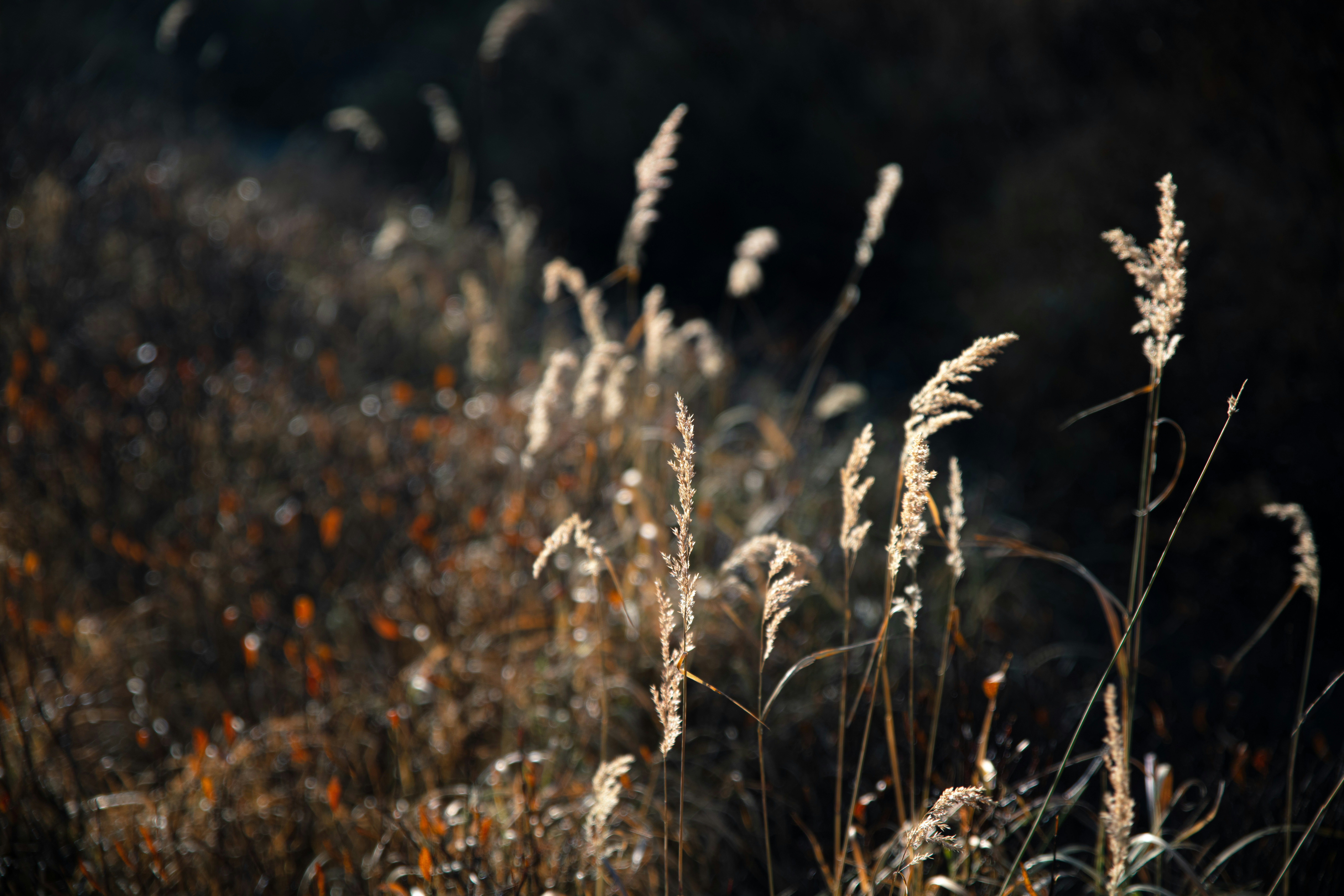 Photo by worldsbetweenlines