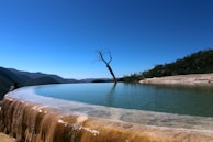 lake in forest