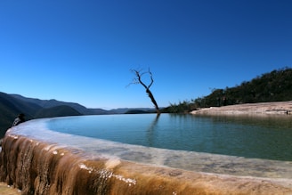 lake in forest