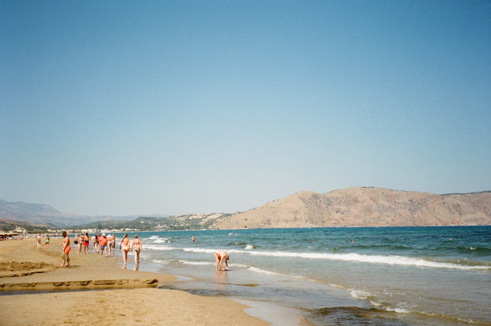 people on beach during daytime