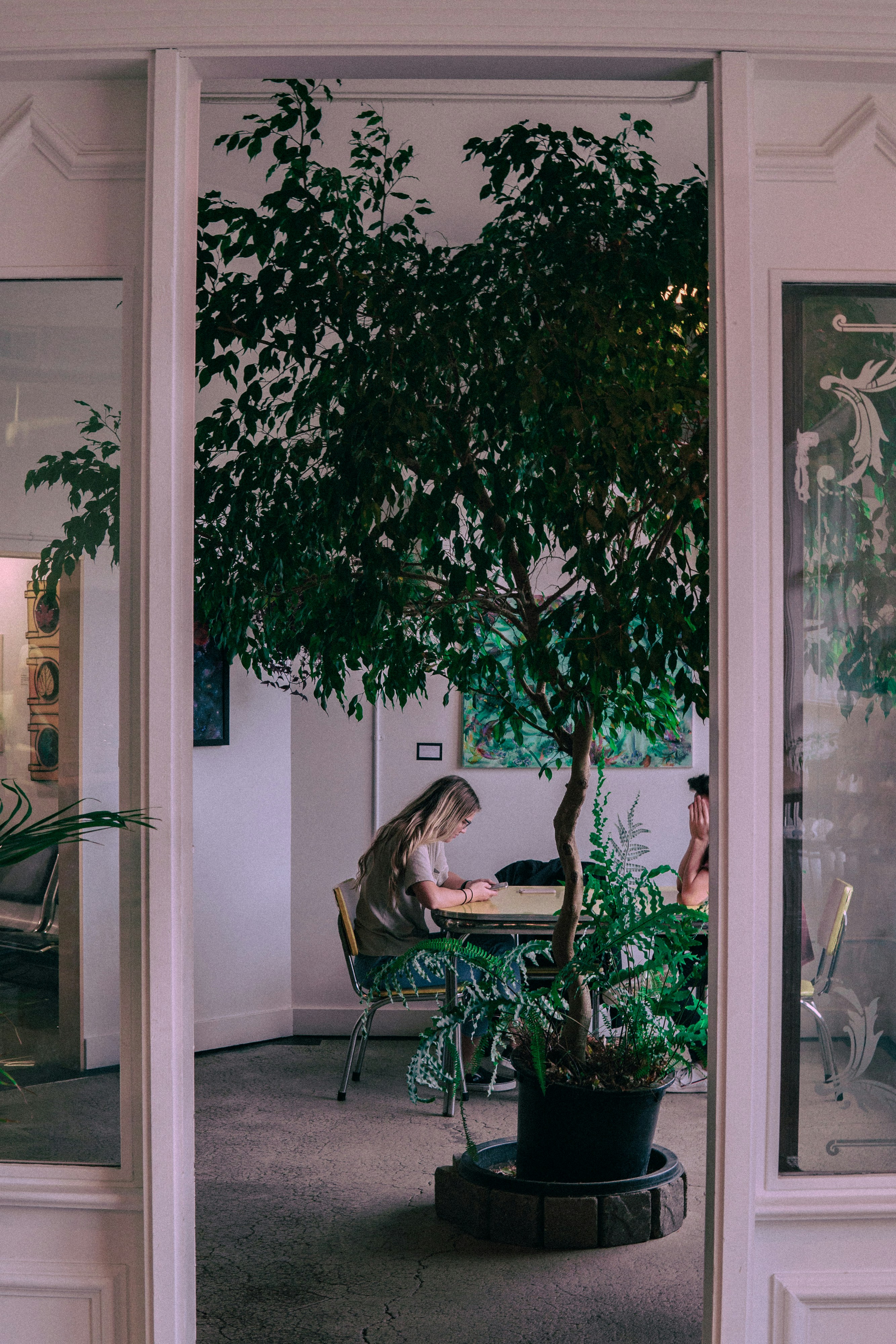 Photo by bitter_fruitt