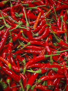 red chili lot