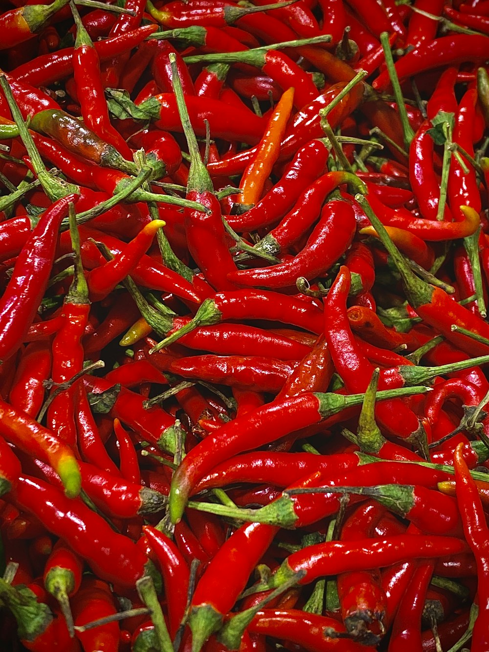 red chili lot