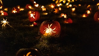 yellow spider decors during night time