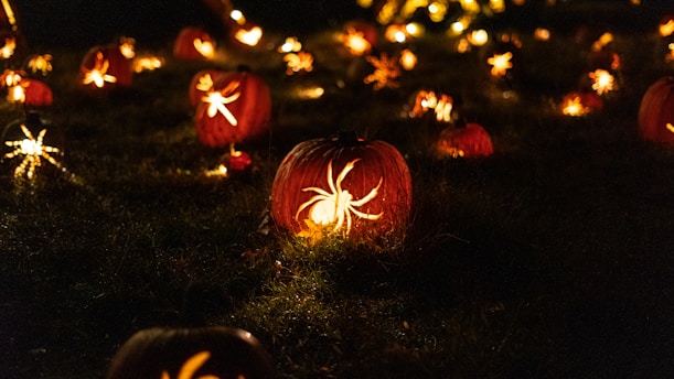 yellow spider decors during night time