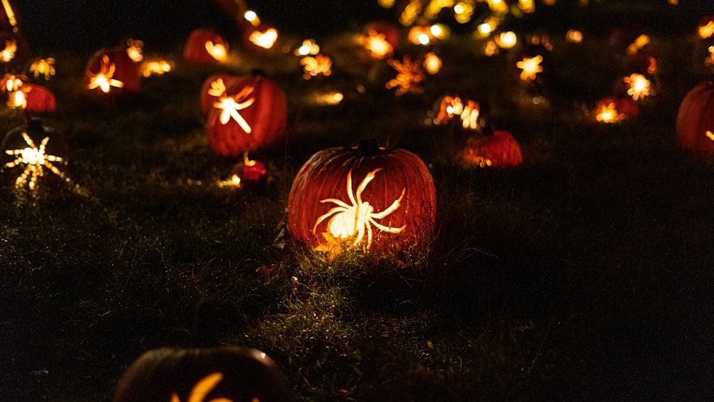 yellow spider decors during night time