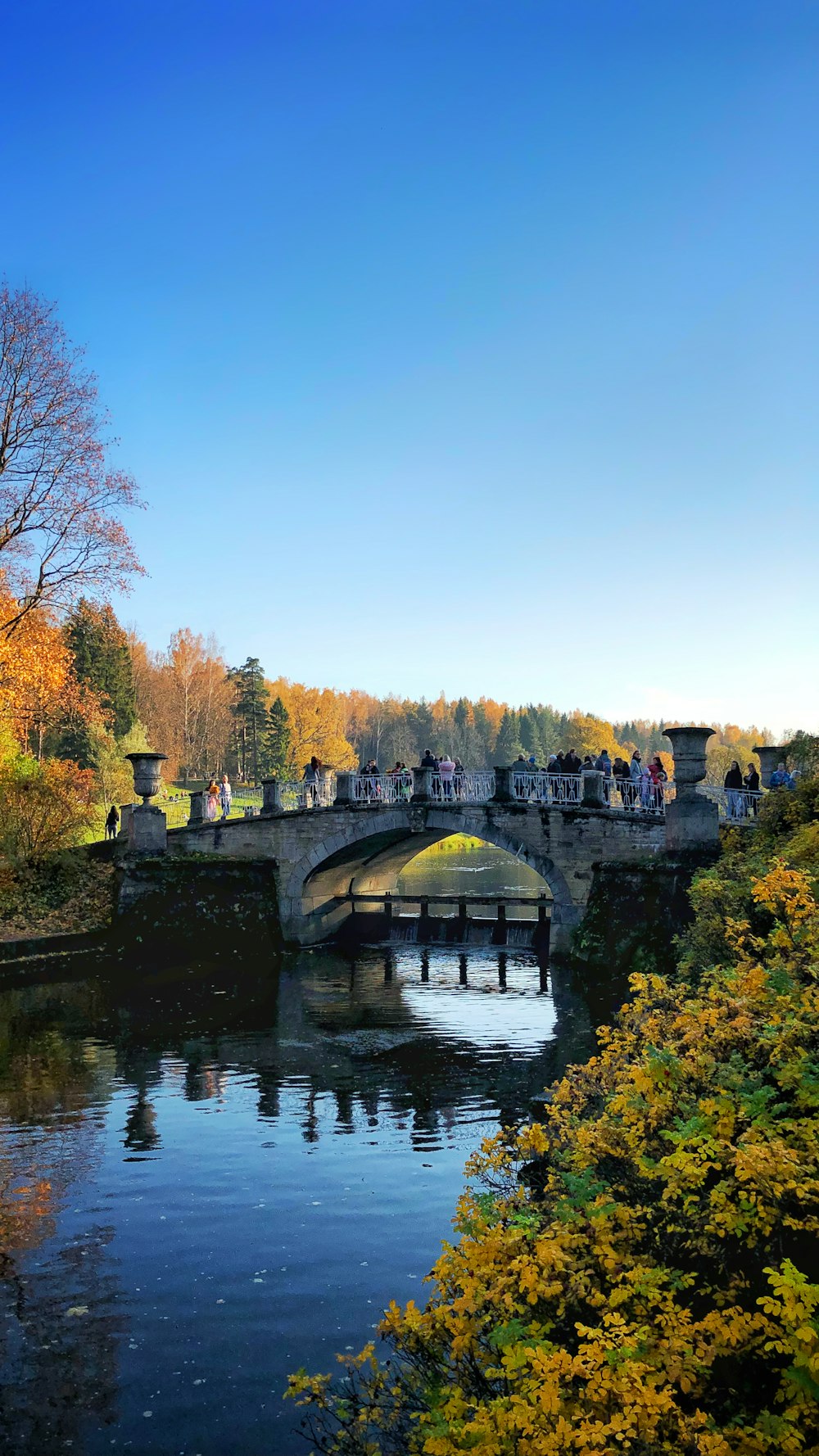 people on bridge