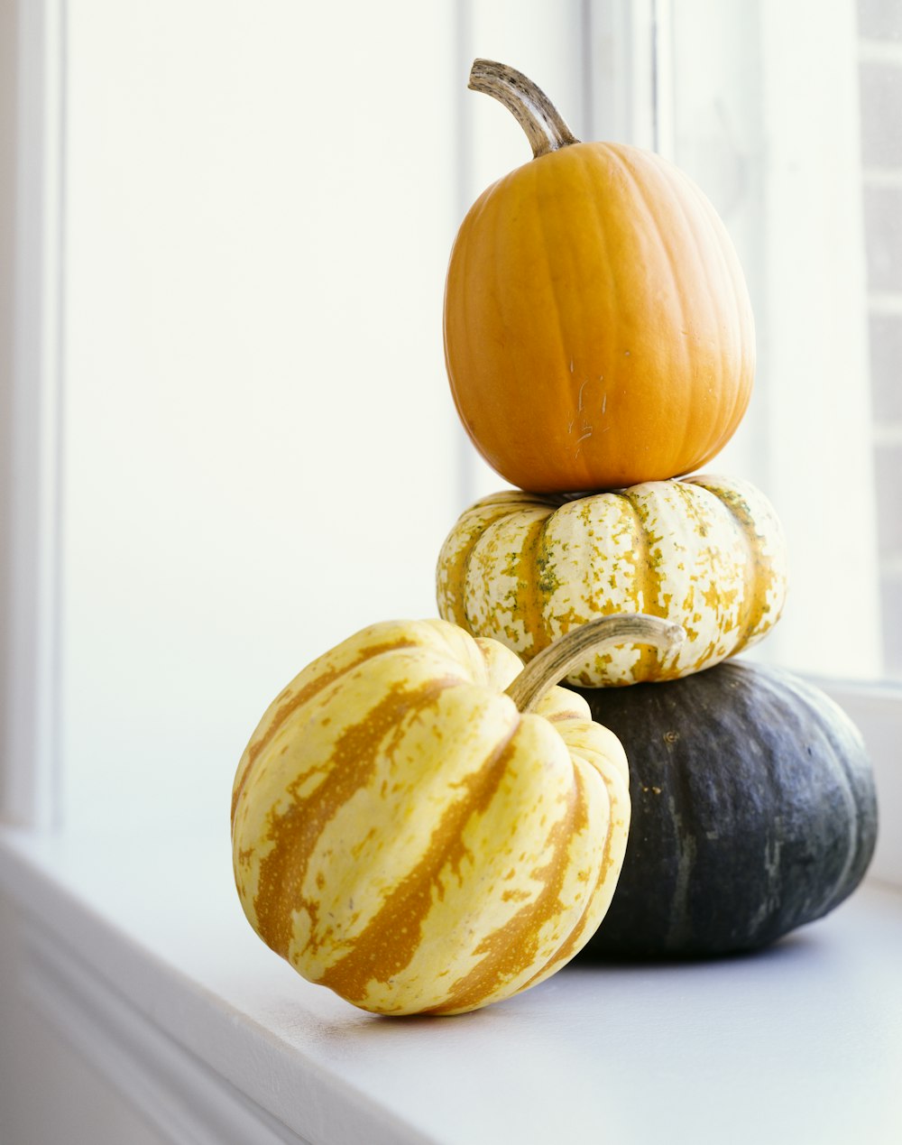 orange and black pumpkins