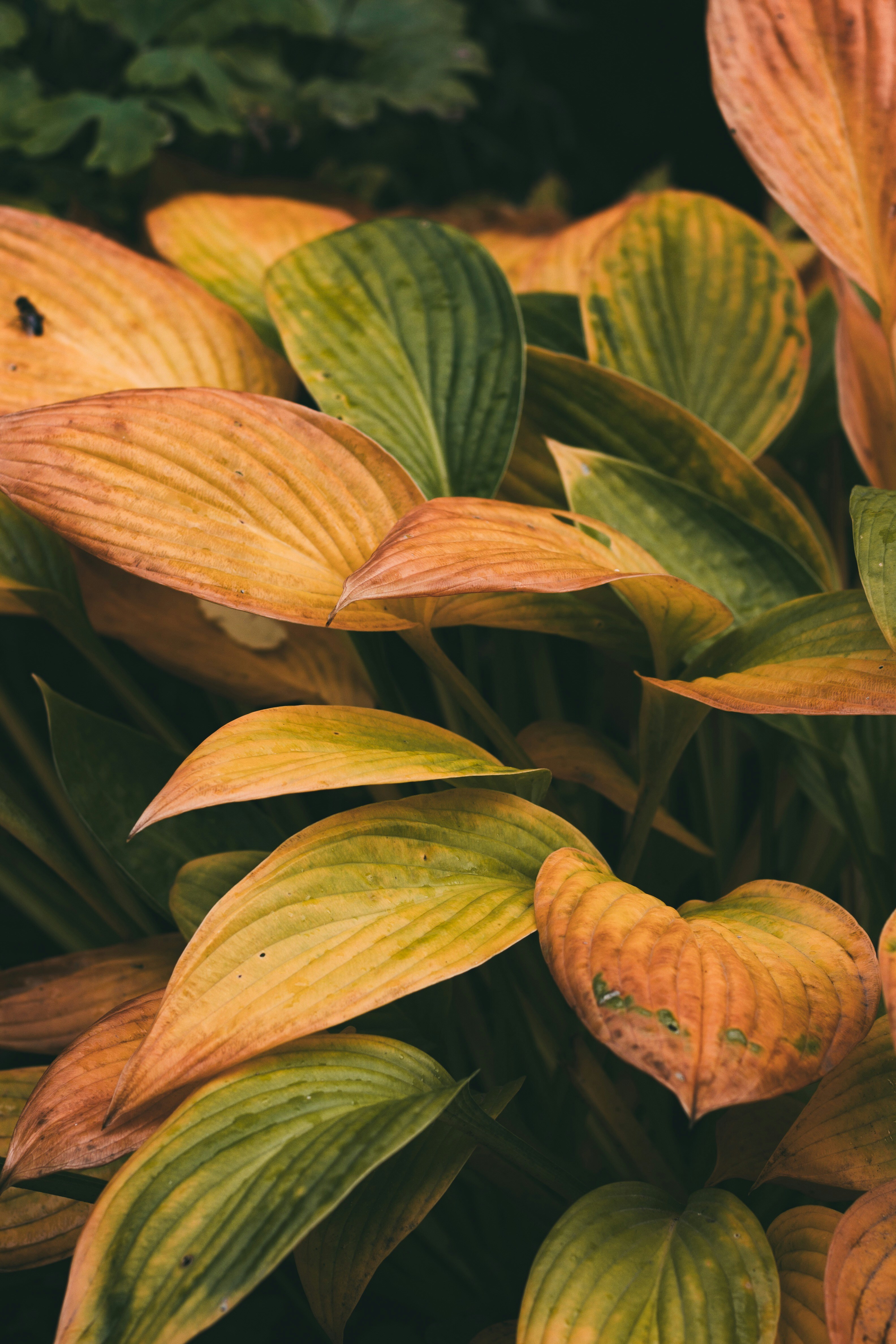 Photo by rolig_basseng