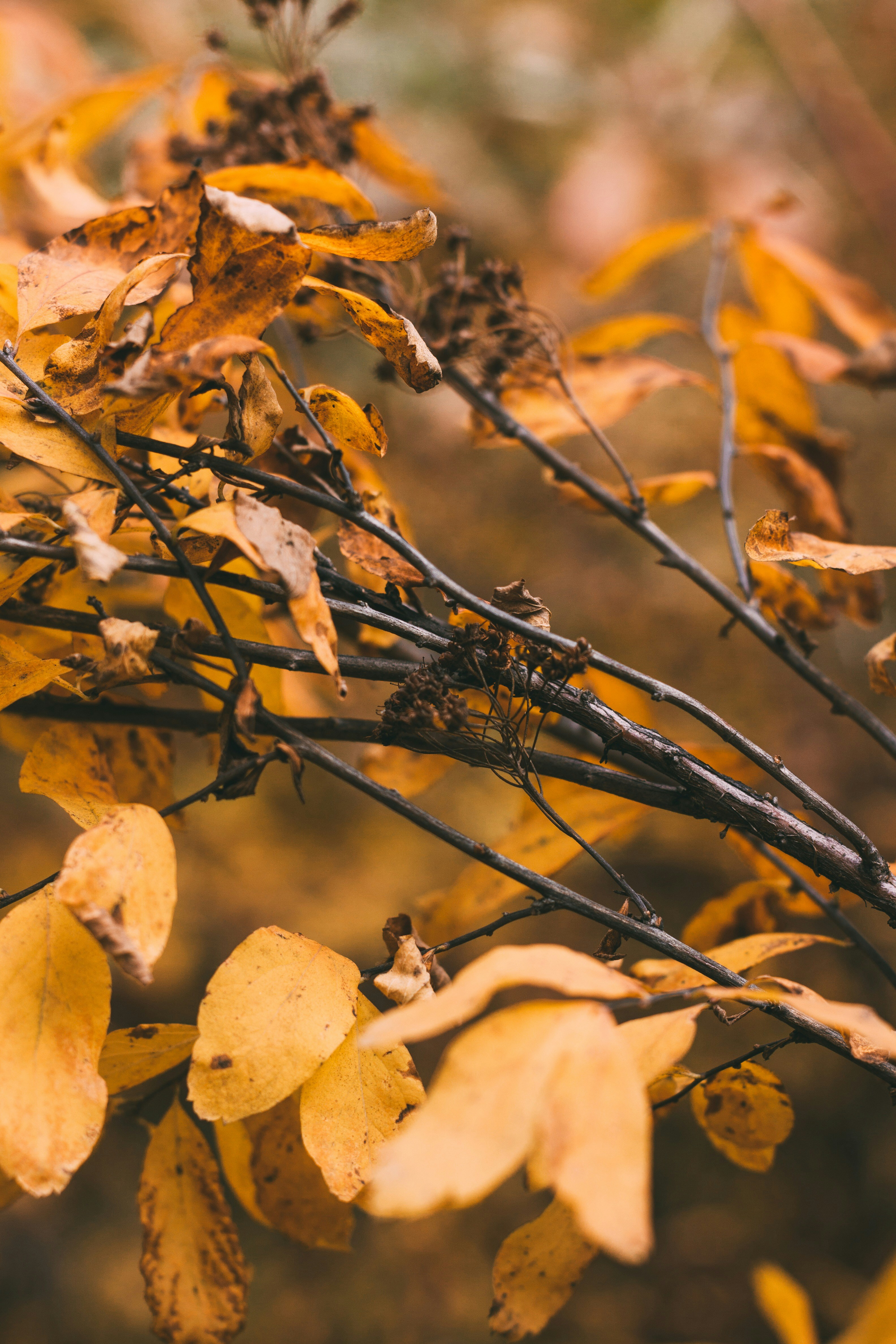 Photo by rolig_basseng