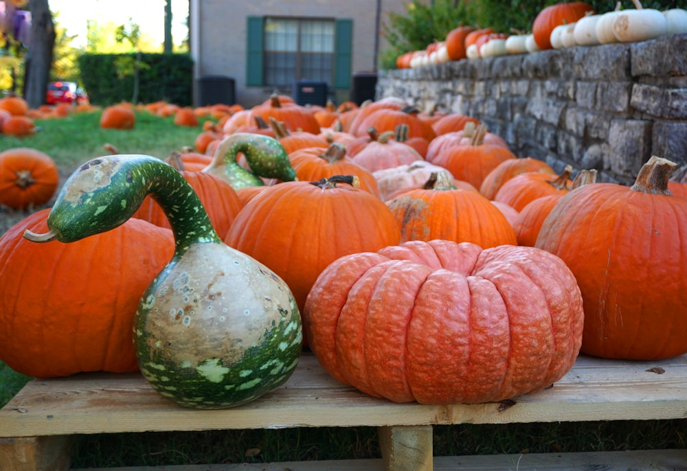 photo of orange squash