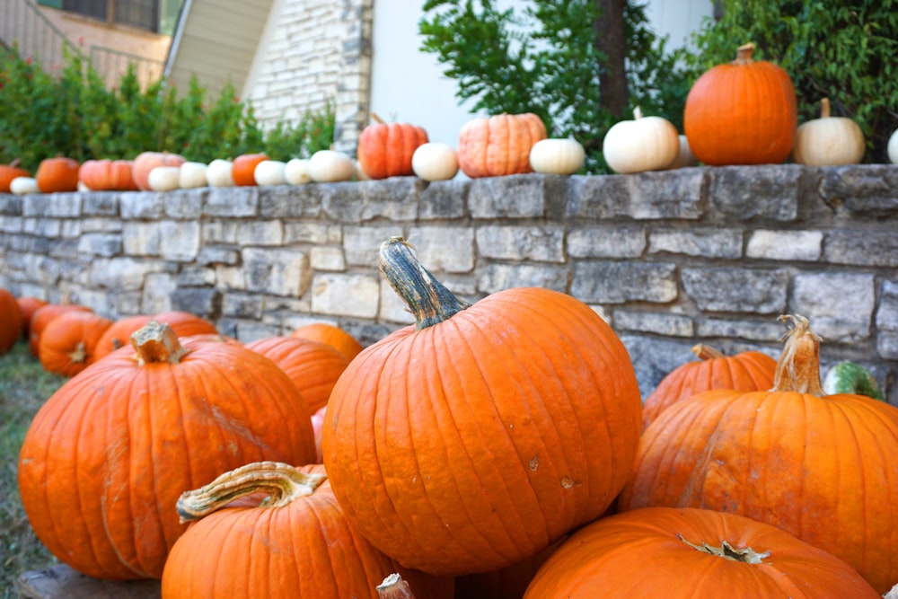 shallow focus photo of orange pumpkins