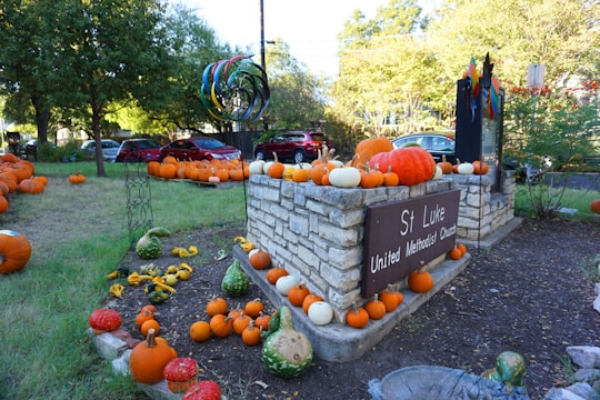 A church sign surrounded by numerous pumpkins of varying sizes and colors, including orange, white, and green gourds, set in a grassy area. Trees and parked cars are in the background, and the sign reads 'St Luke United Methodist Church'. There is also a colorful sculpture of concentric circles nearby.