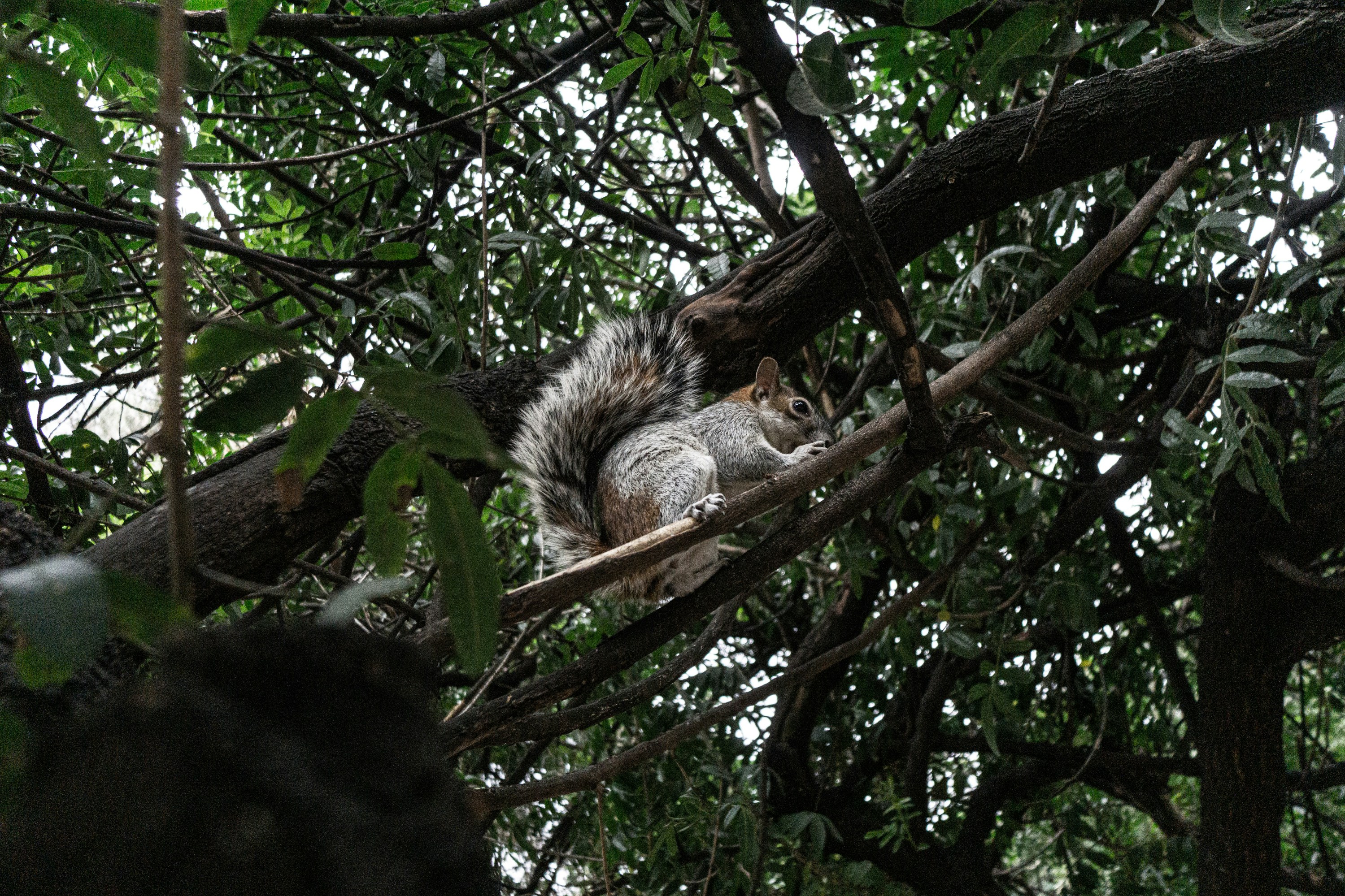 Photo by leopoldkristjansson