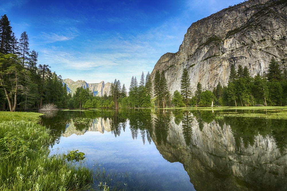 body of water across trees and mountain