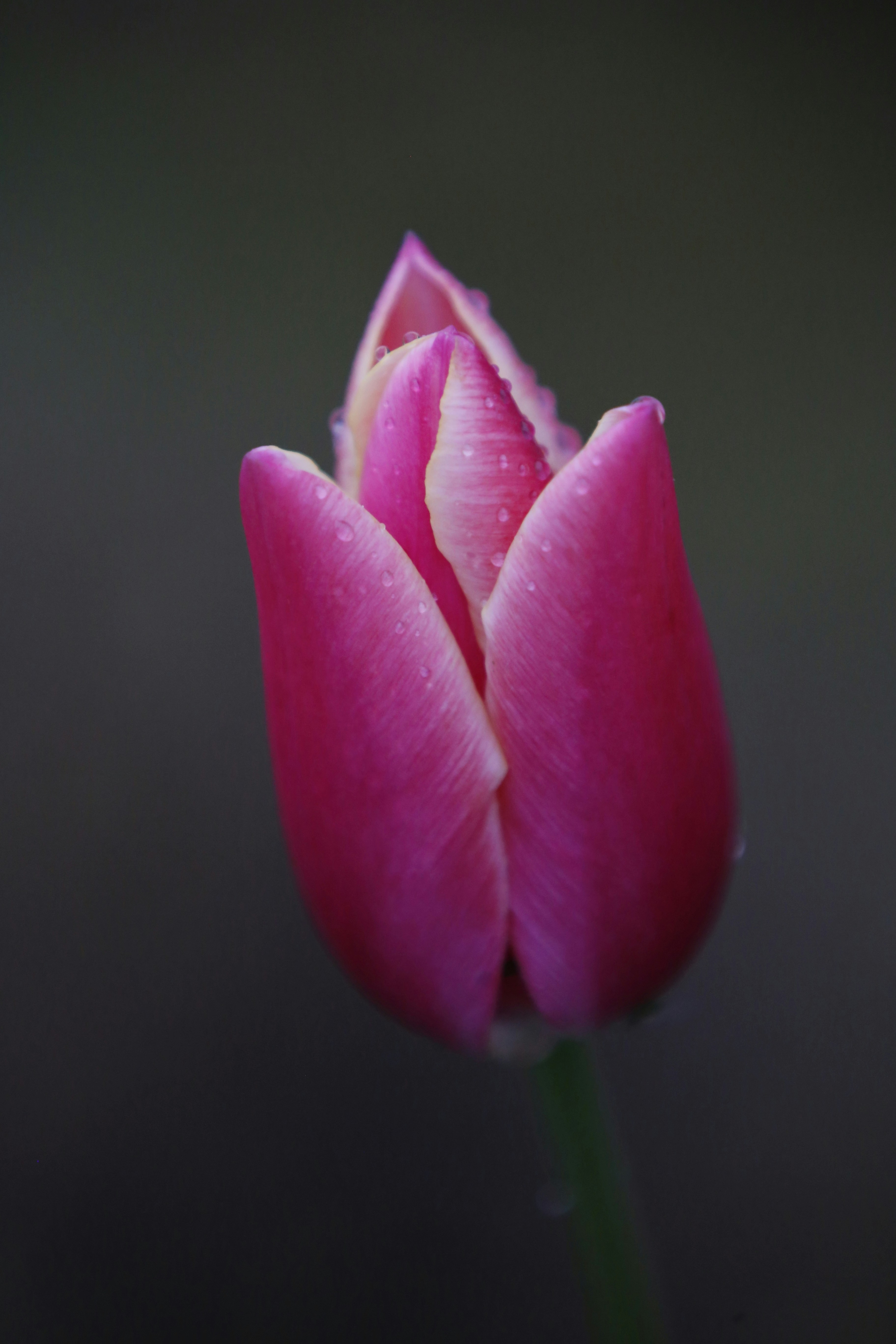 Photo by georgeiermann