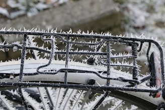 Close-up of a coldroom rack system with frost-resistant coatings.
