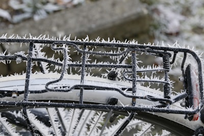 Close-up of a coldroom rack system with frost-resistant coatings.