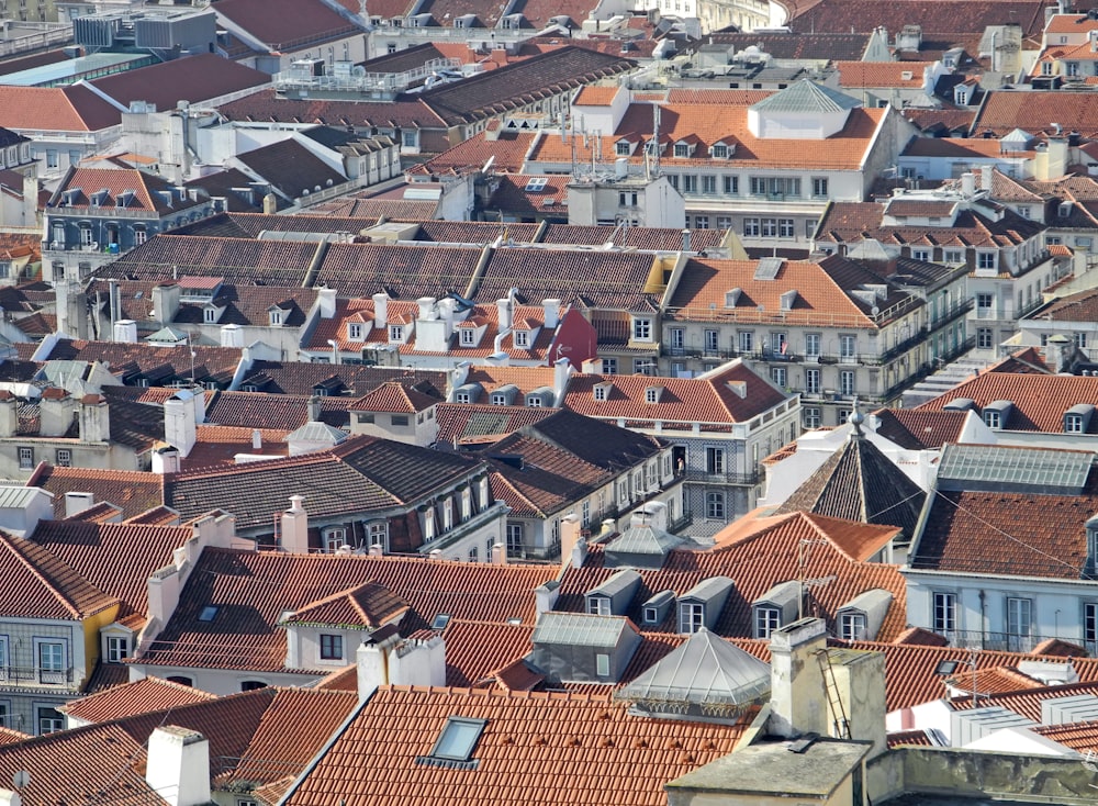 brown buildings during daytime