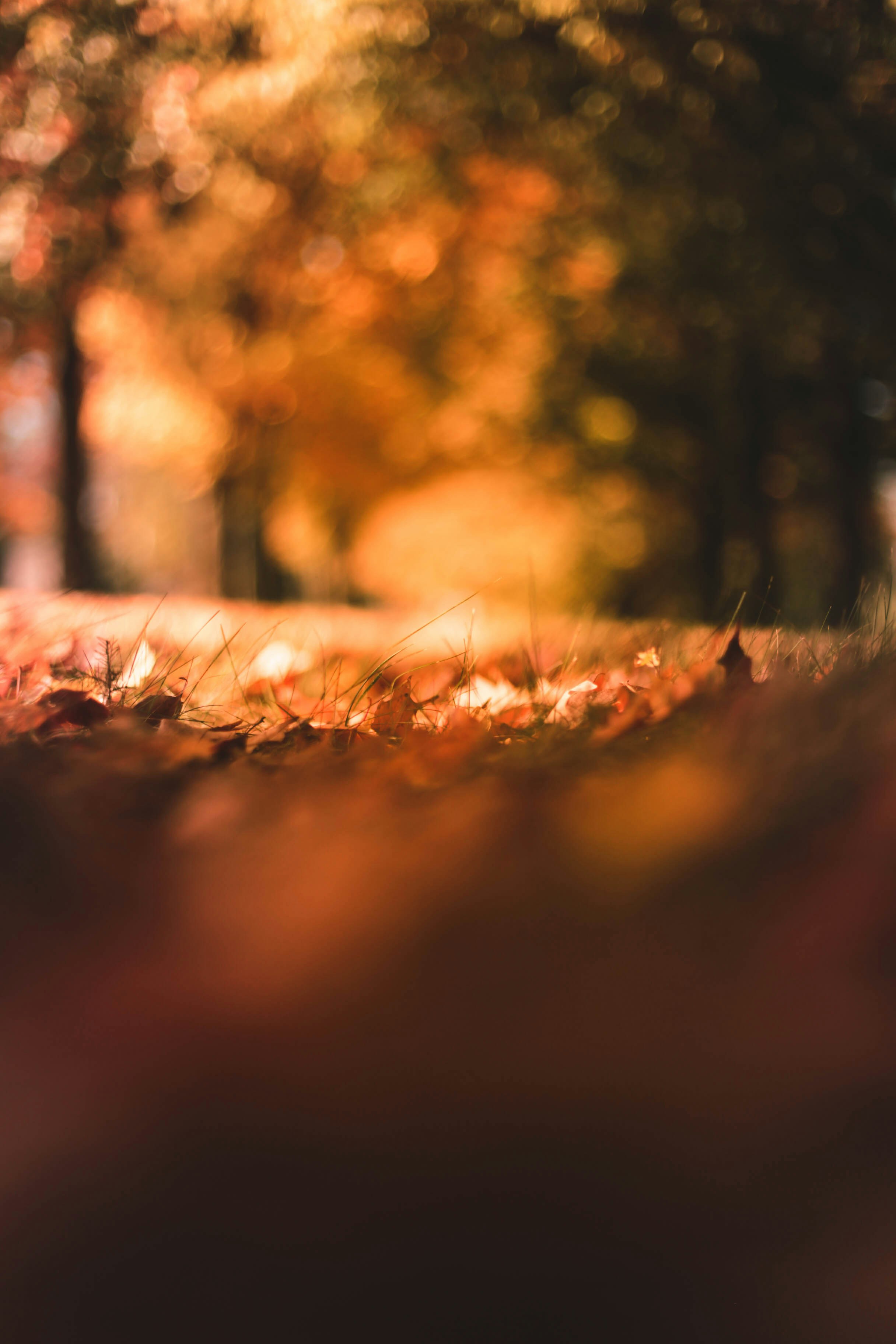 Photo by jessicalfadel