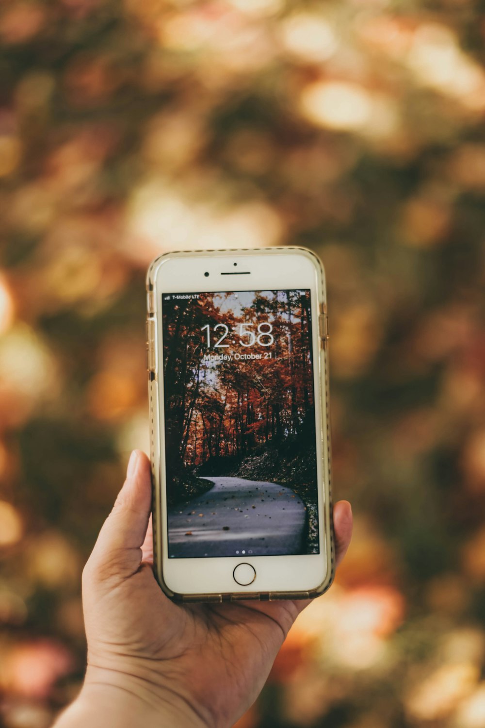 silver iPhone 6 with case