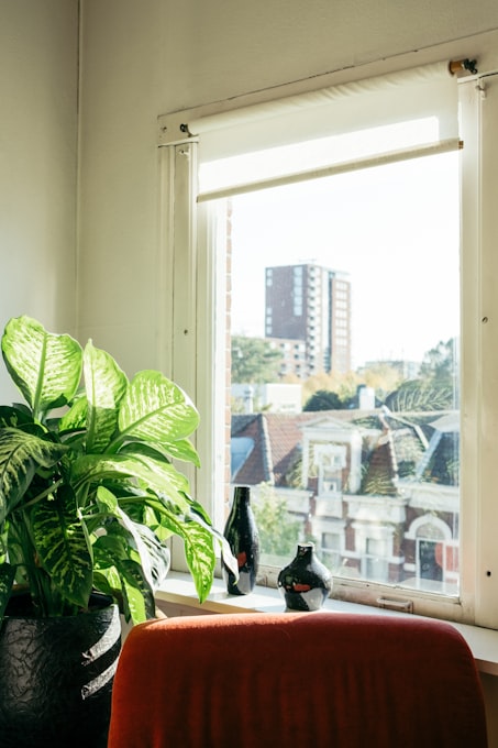Bright windowsill detail with plants