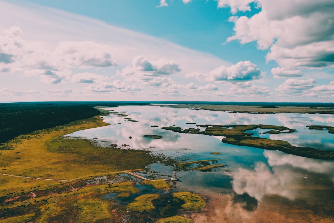 green land near water during daytime