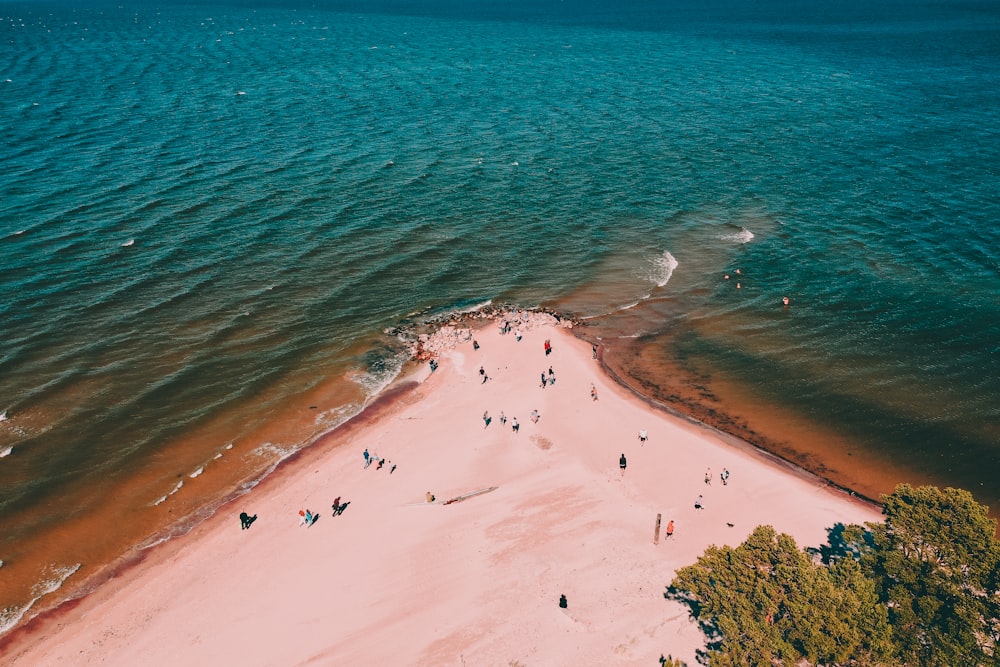 aerial view of people on shore