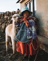 girl wearing multicolored dress standing near white llama