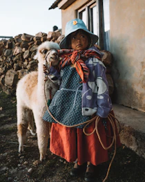 girl wearing multicolored dress standing near white llama