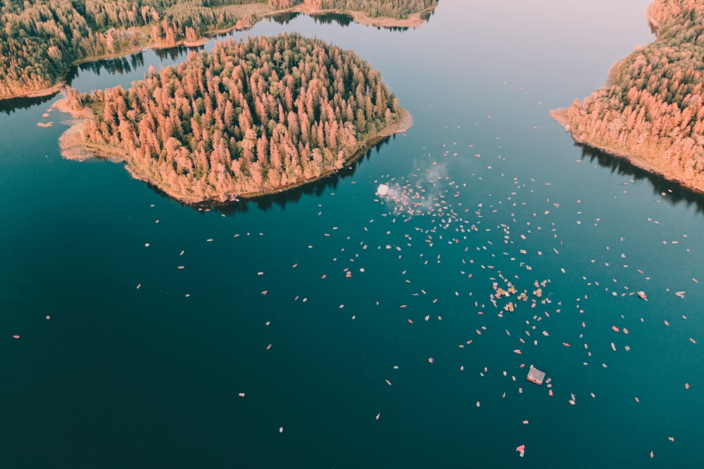 green island during daytime