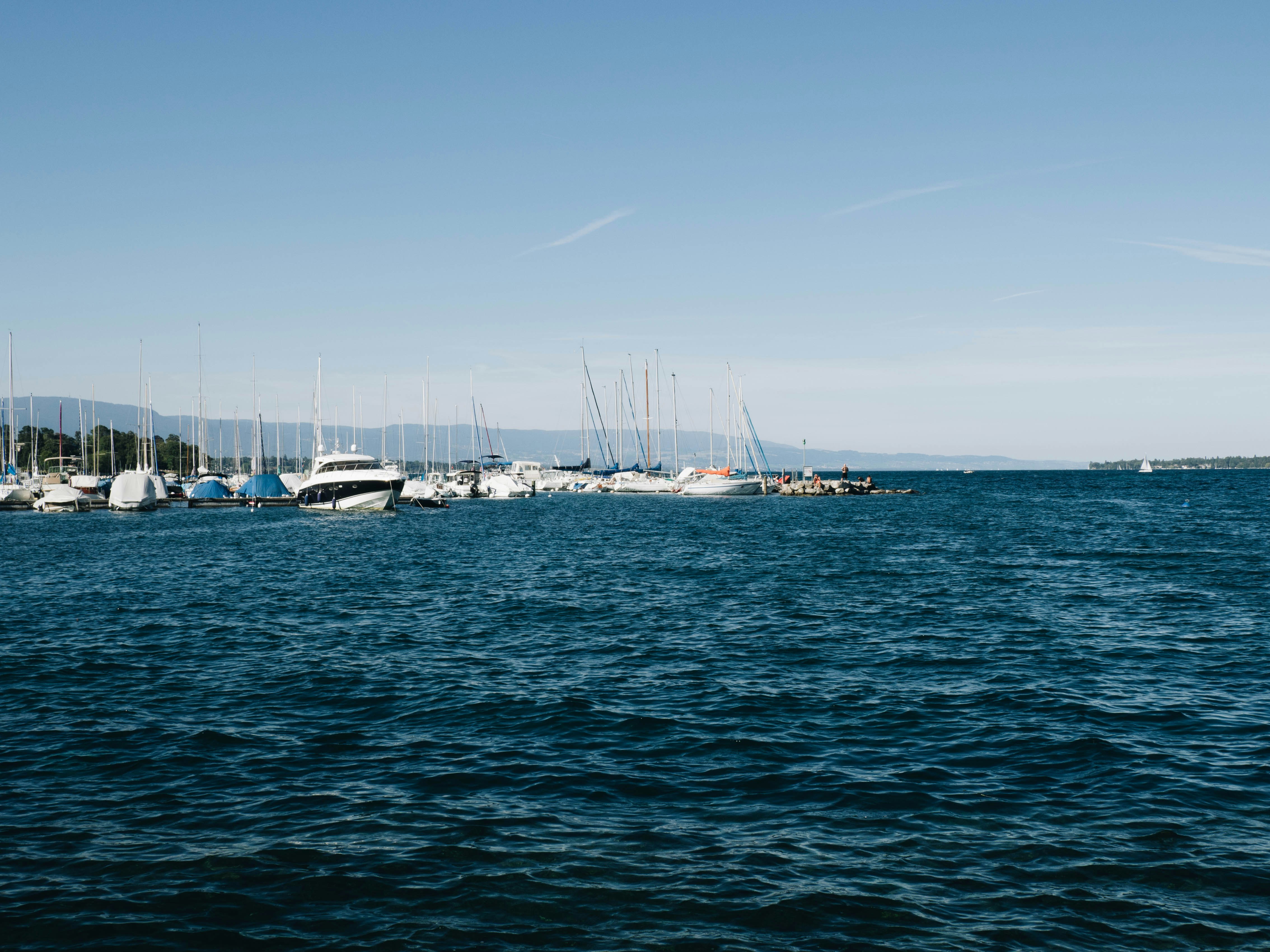 Photo by disguise_truth