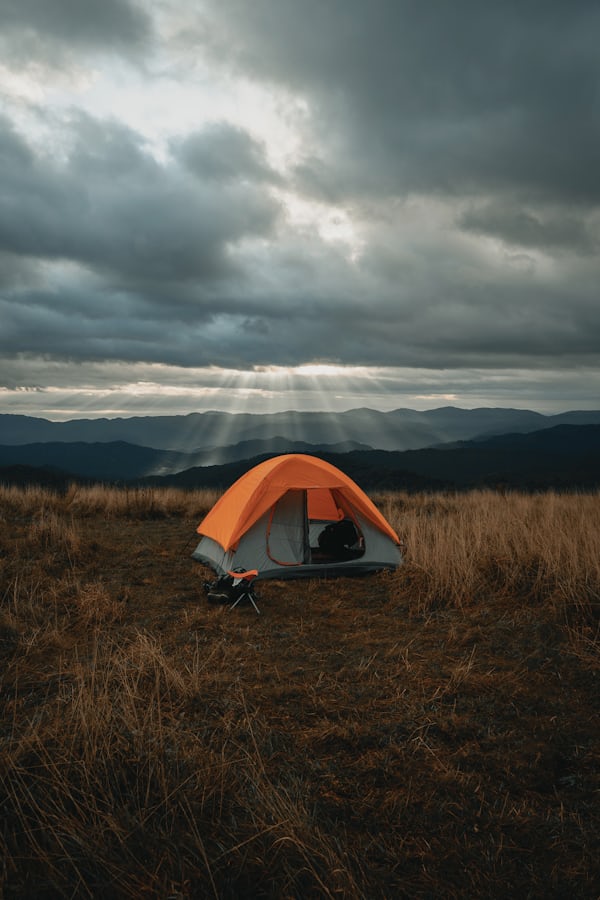 Camping in Zuid-Holland