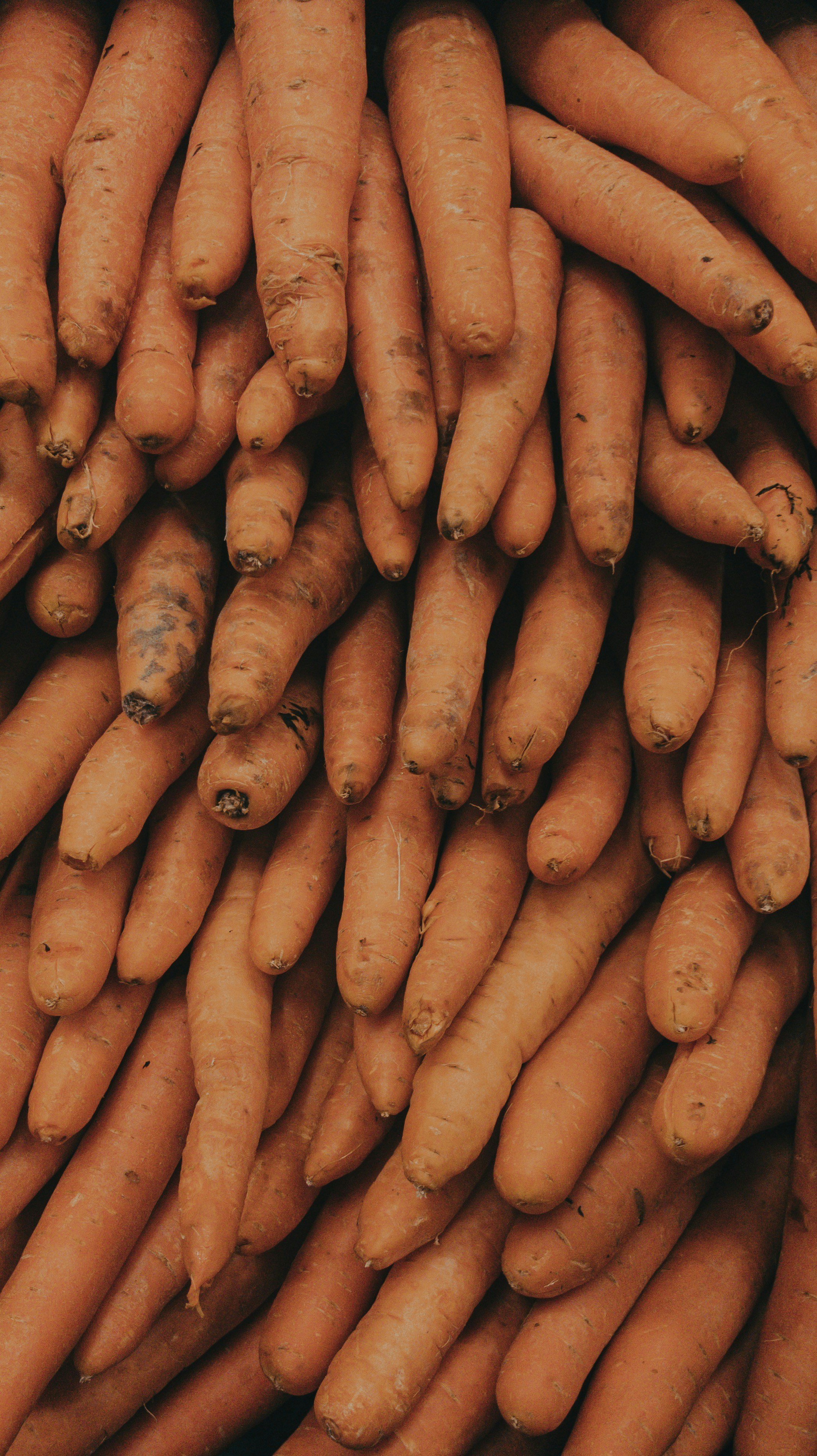 Photo by mindistrict