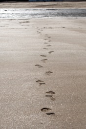 sand with footprints during day
