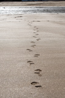 sand with footprints during day