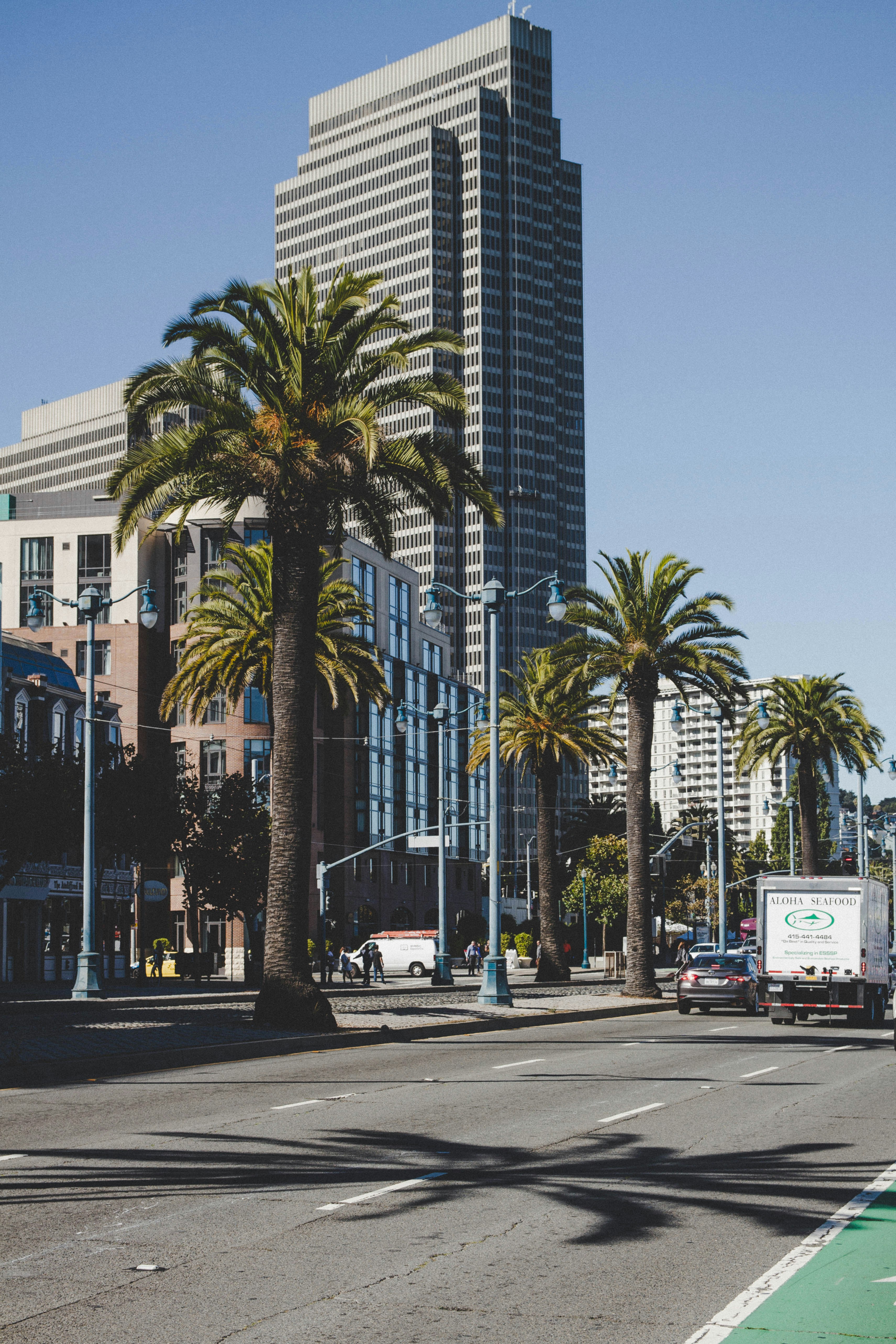 Photo by timowielink