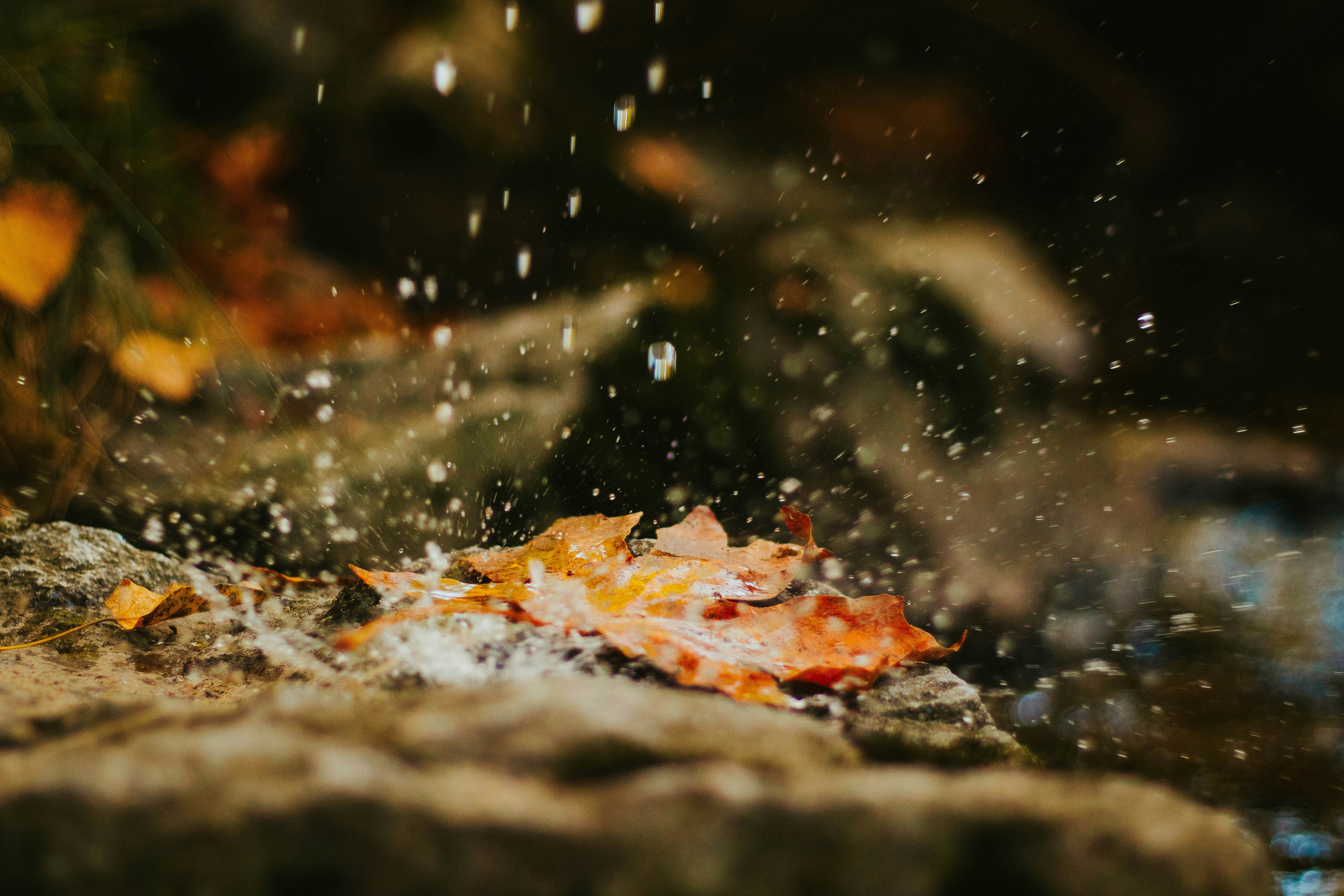 Photo by melted_epiphanies