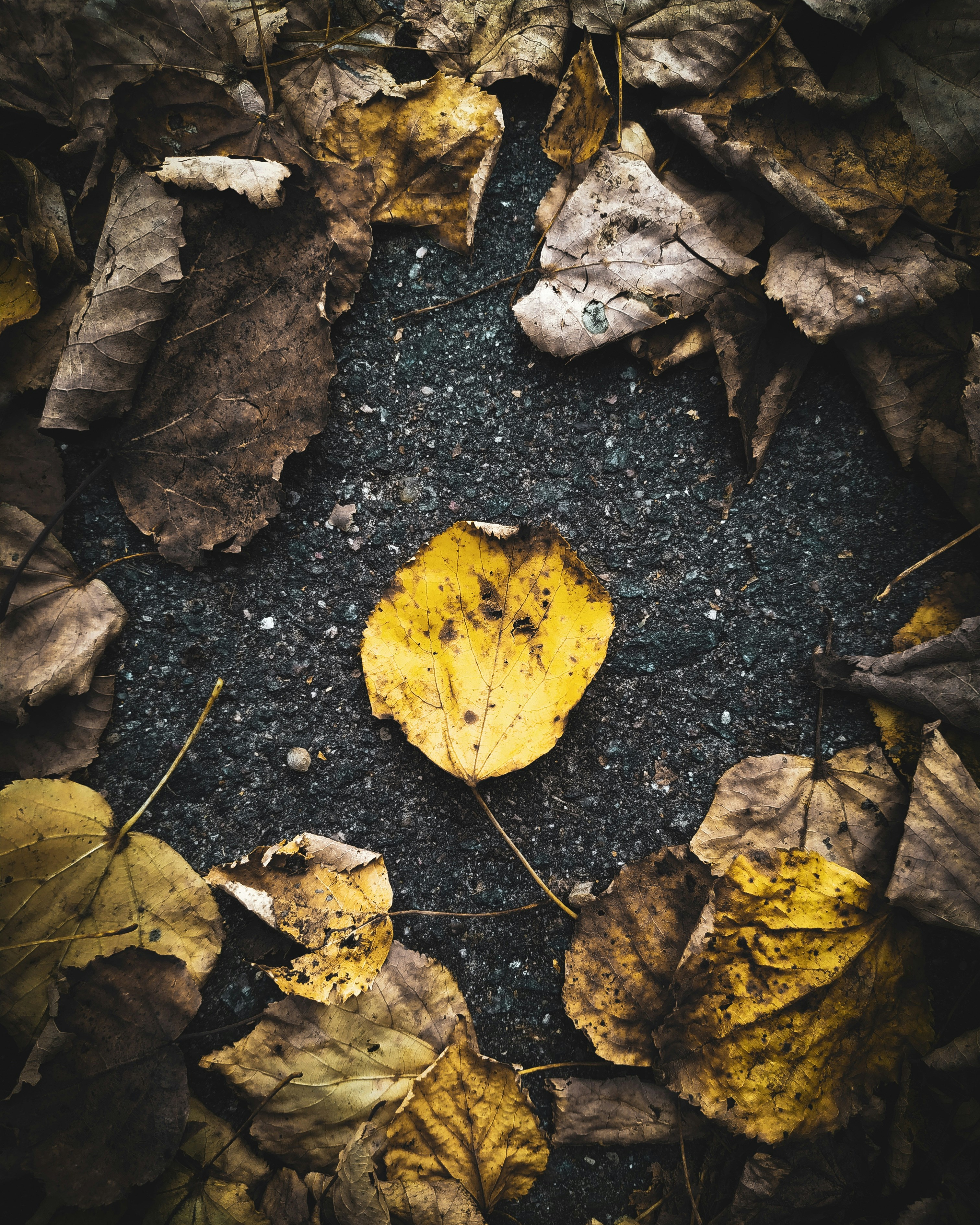 Photo by annadyakov1999