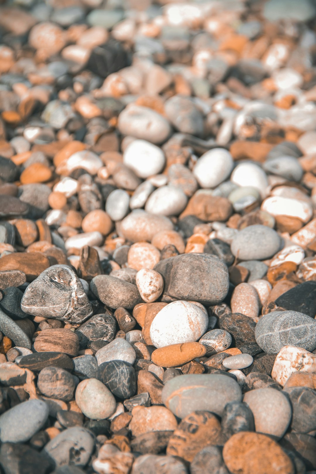 assorted pebbles