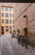 bicycles on pathway