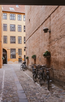 bicycles on pathway
