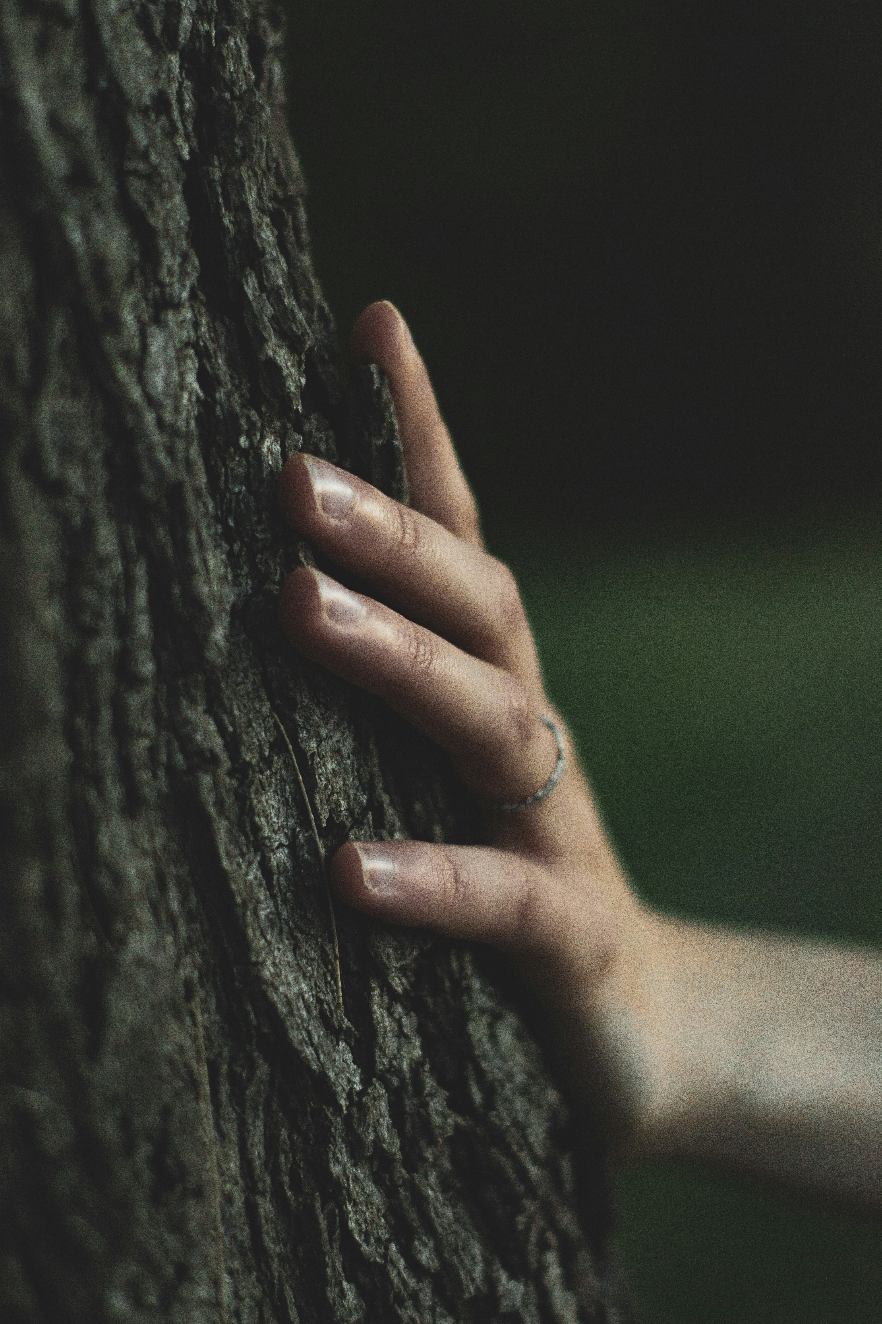 Photo by agustinfernandez