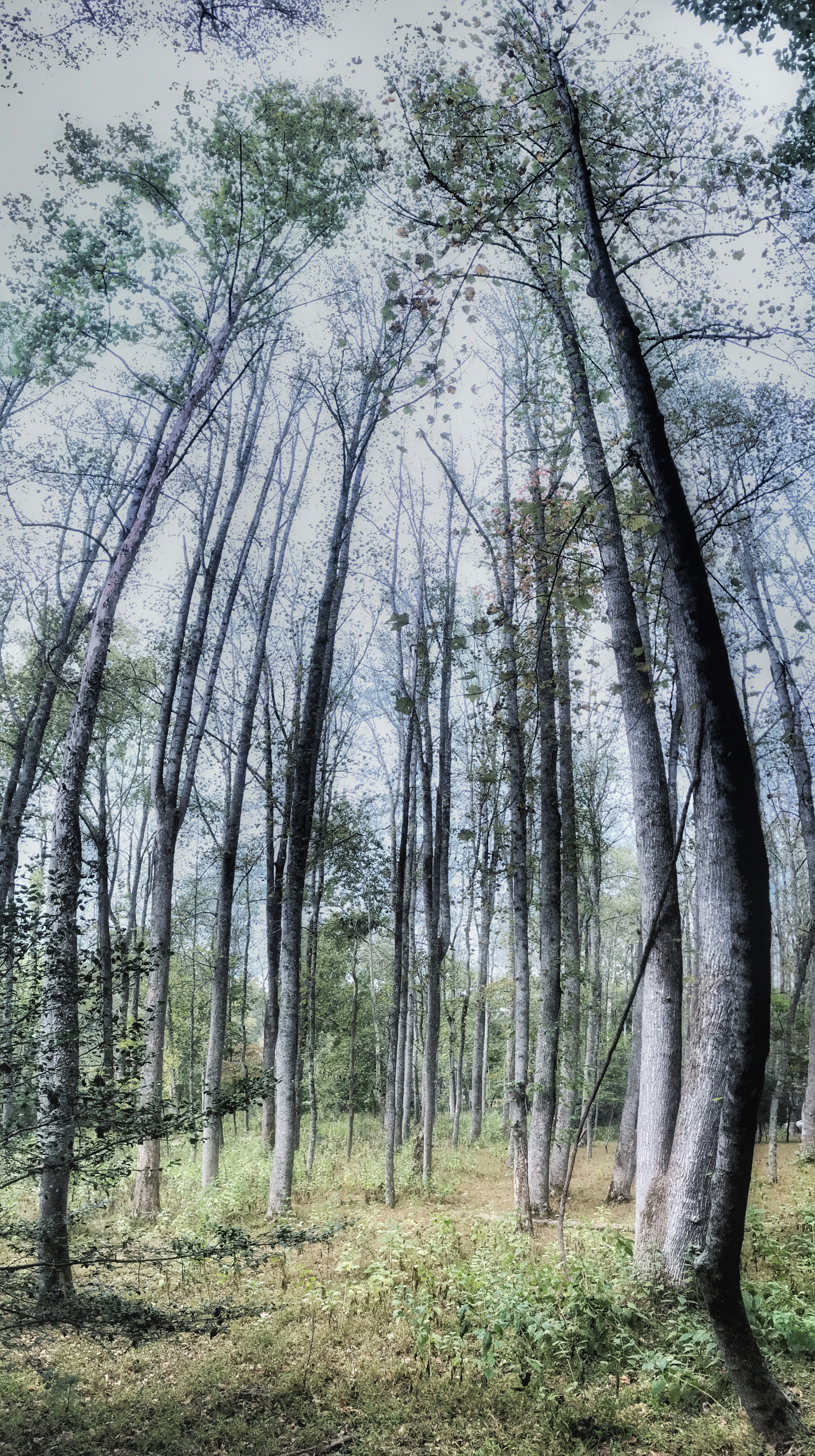 Photo by graysonsmith_photography