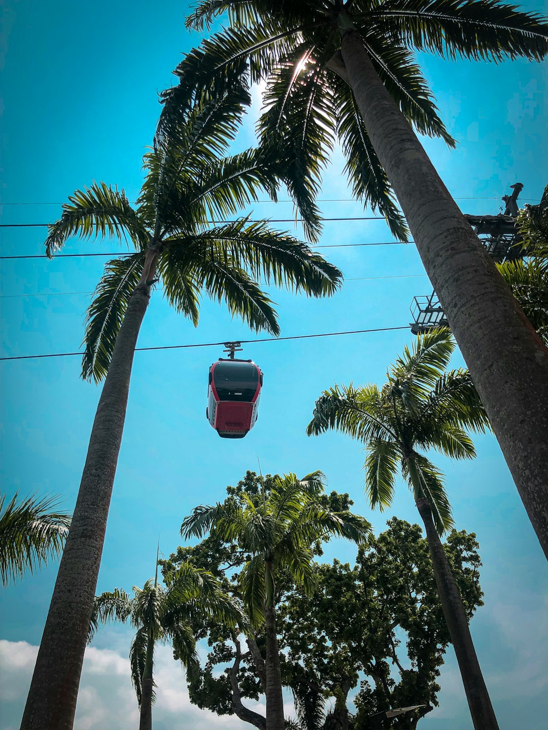 Tropics photo spot Sentosa Singapore